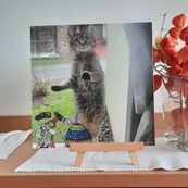 Forexplatte 25 x 25 | Katze am Küchenfenster
